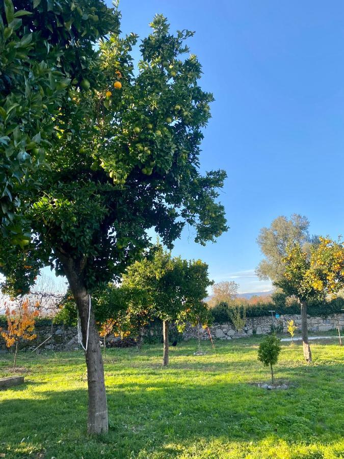Bed and Breakfast Quinta De Areias Crespos Esterno foto