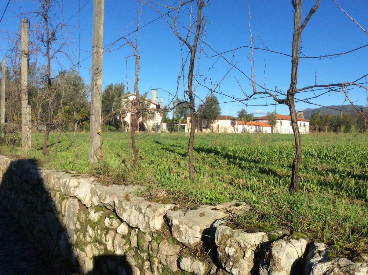 Bed and Breakfast Quinta De Areias Crespos Esterno foto
