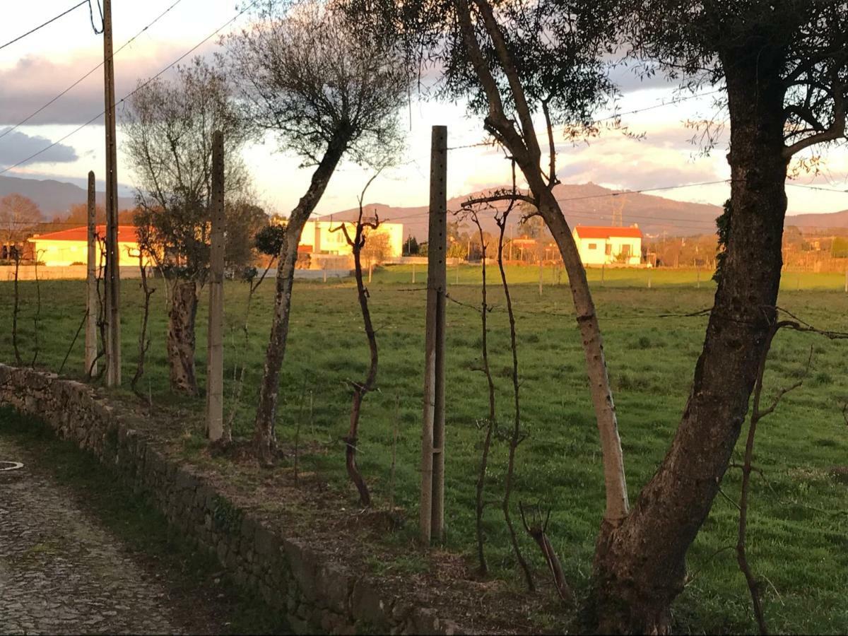 Bed and Breakfast Quinta De Areias Crespos Esterno foto